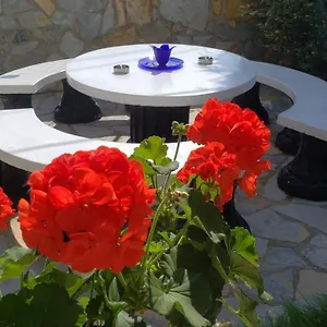 Apartment Renato